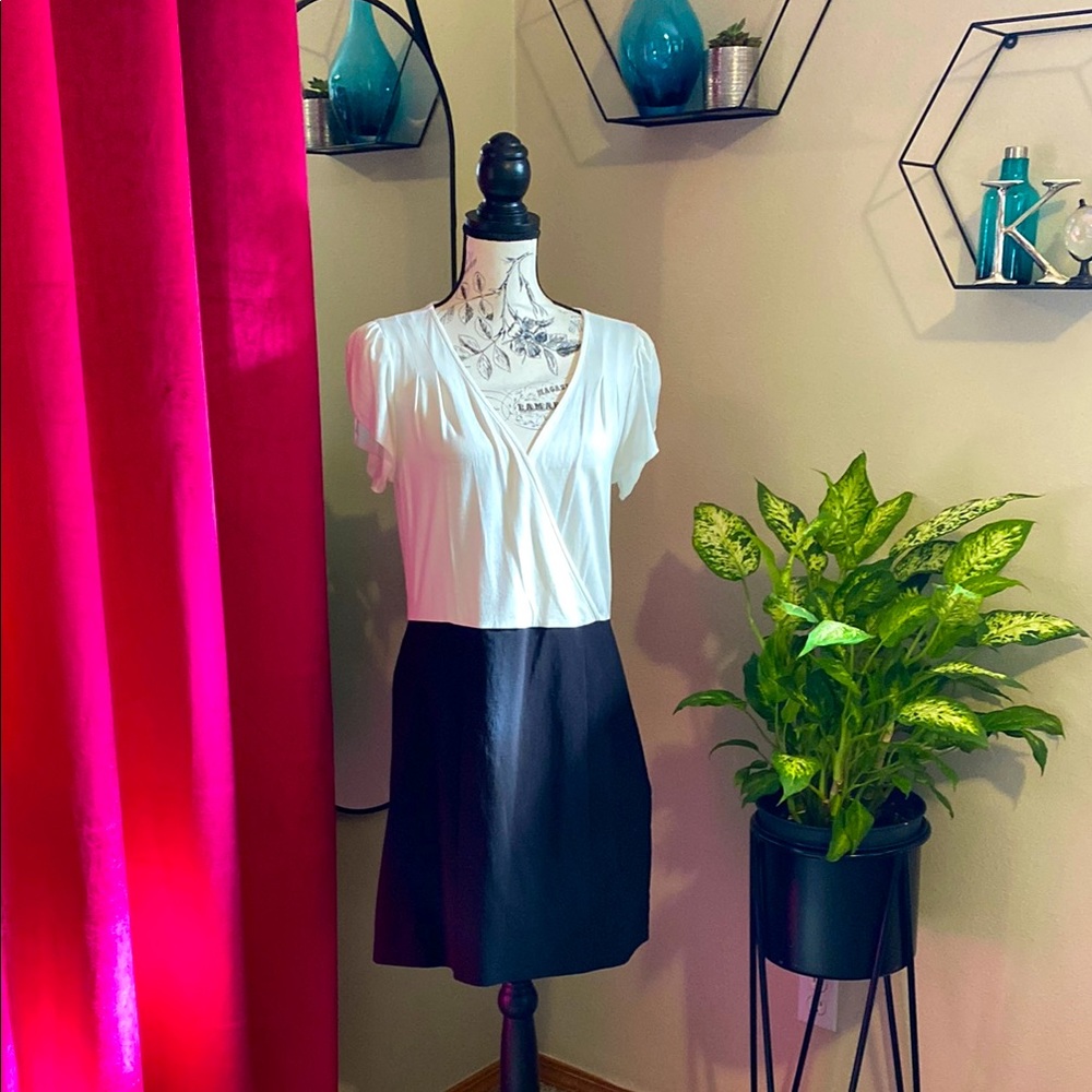 EXPRESS Chic Black and White Dress LARGE